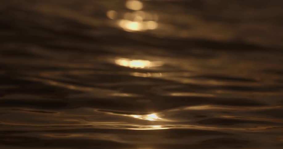 Shimmering golden reflections dance across the surface of calm water in slow motion at sunset