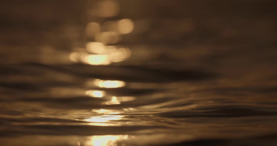 Golden hour sunlight reflects and dances on the surface of slowly moving water