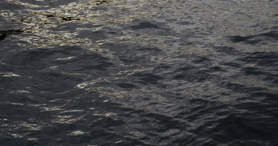 Close-up of gentle, dark water ripples reflecting the warm, golden glow of a setting sun