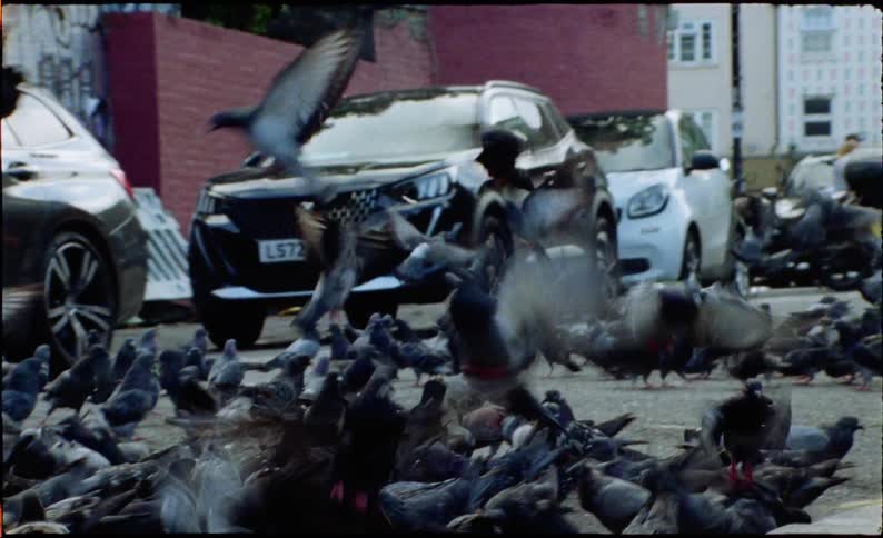 A flock of pigeons creates a chaotic blur of motion as they fly up from a busy city street in slow motion