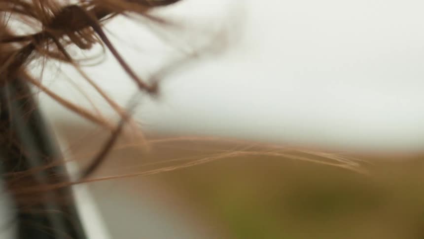 A super slow motion close-up of brown hair blowing freely in the wind with a soft-focus rural landscape in the background