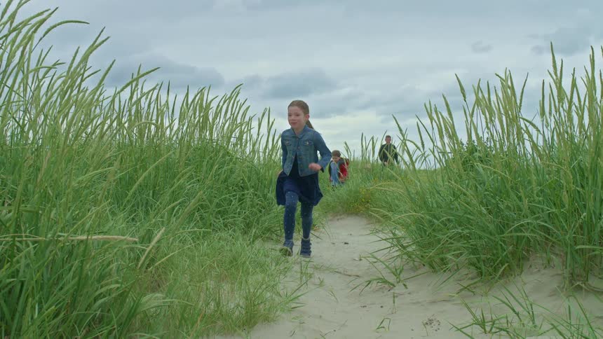 Excited children lead their father down a sandy path through tall green beach grass in slow motion