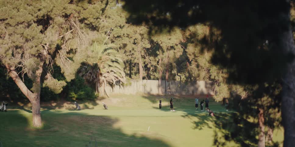 A group of golfers gather on a sunlit putting green surrounded by lush trees