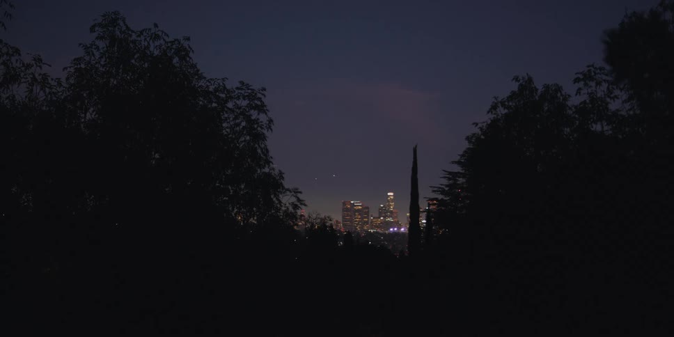Los Angeles city lights twinkle in the distance, viewed from a dark, tree-lined overlook at night