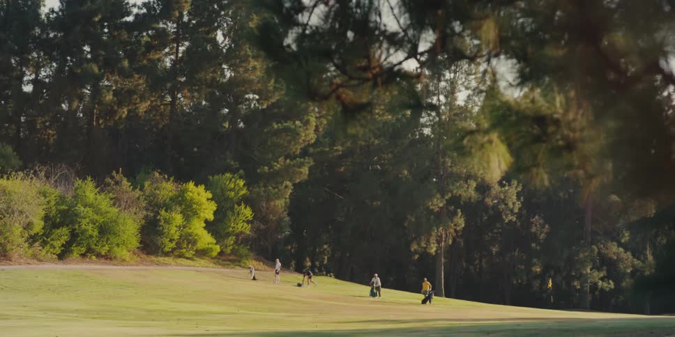 A group of golfers practice their swings on a sunlit fairway surrounded by a lush forest