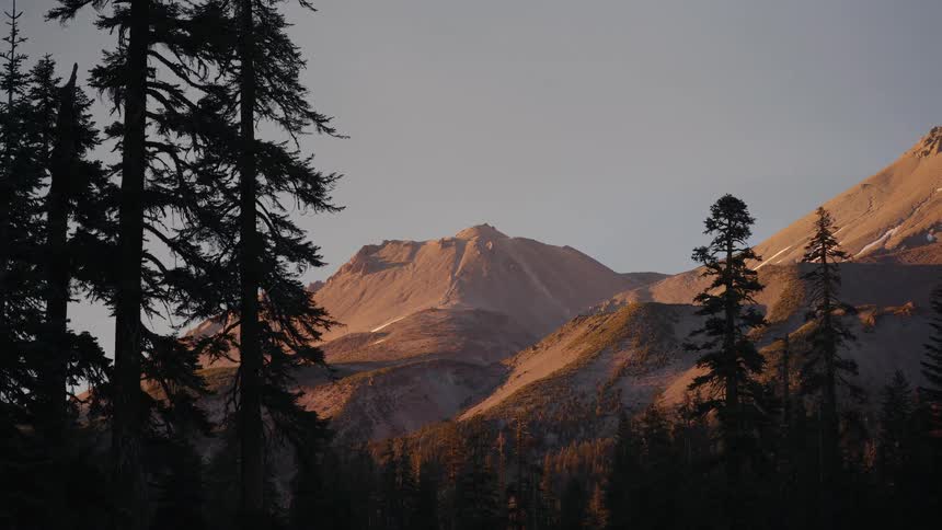 Golden light from the setting sun illuminates the peak of Mount Shasta, framed by silhouetted pine trees in the foreground