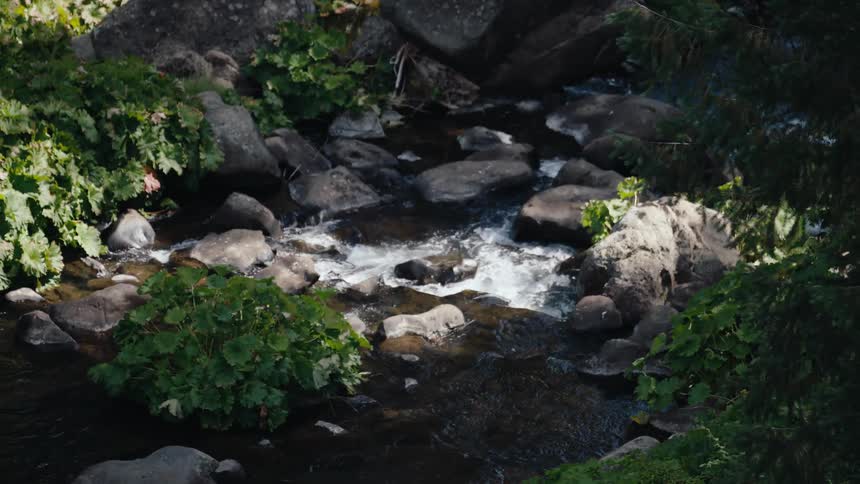 A high angle view zooms in on a rocky river flowing through a lush, sun-dappled forest