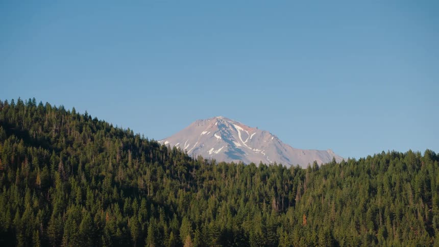 Mount Shasta's snow-capped peak is framed by lush green pine forests under a clear blue sky