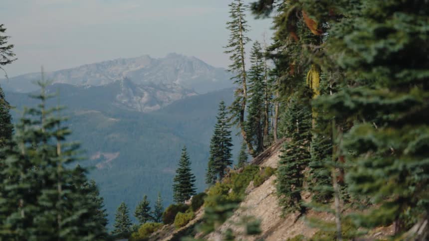 A slow zoom reveals a majestic mountain range seen through a clearing in a dense evergreen forest