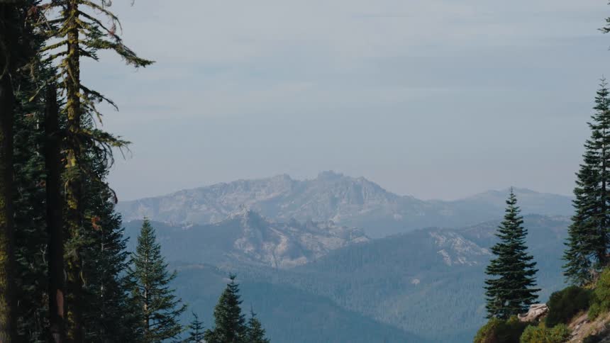 A serene, static view of a distant, hazy mountain range framed by tall evergreen trees in the wilderness