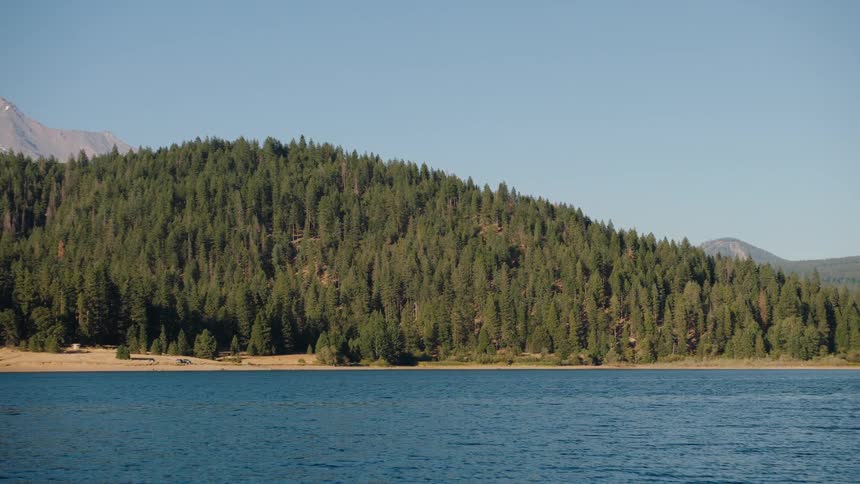A serene view across a calm blue lake reveals a dense pine forest on the shore and a distant mountain peak on a sunny day