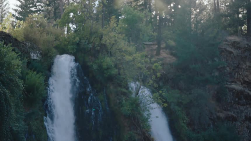 A slow rack focus from a sunlit pine tree branch reveals a majestic double waterfall in a lush forest