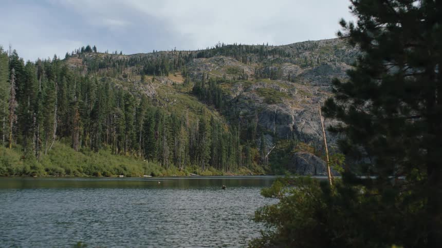 A serene view of a tranquil mountain lake surrounded by a dense evergreen forest on an overcast day