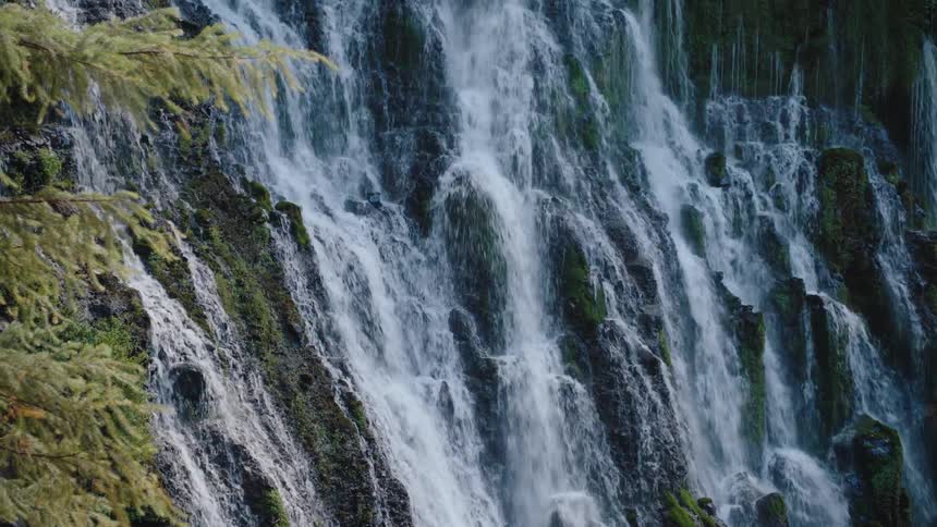 A powerful waterfall cascades over a moss-covered cliff face next to lush evergreen trees in the forest