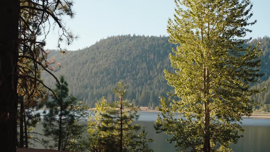 A serene landscape view of a calm lake with a lush, tree-covered mountain in the background