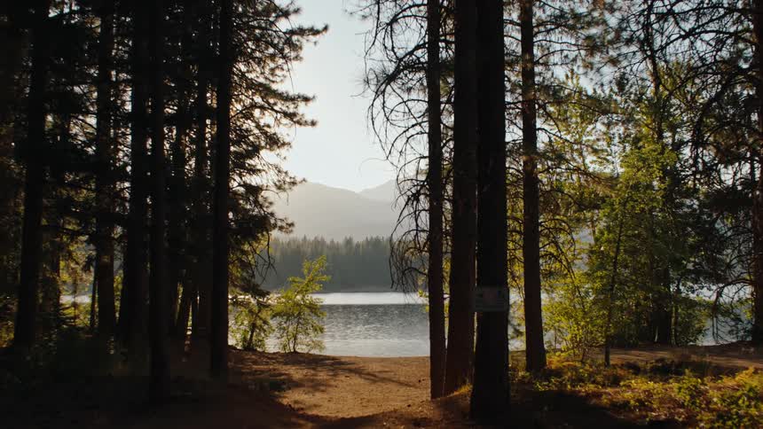 A serene view from a dark forest slowly zooms towards a tranquil mountain lake with a sandy shore and distant hazy mountains