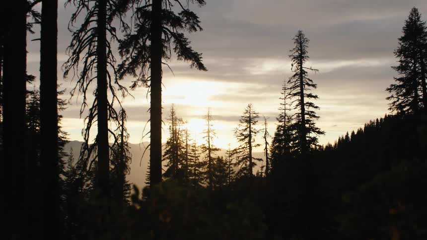 Serene mountain forest with evergreen trees silhouetted against the setting sun as the camera slowly zooms out