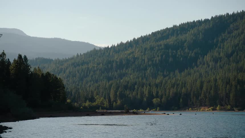 A tranquil wide shot zooms in on a serene mountain lake nestled within a dense evergreen forest