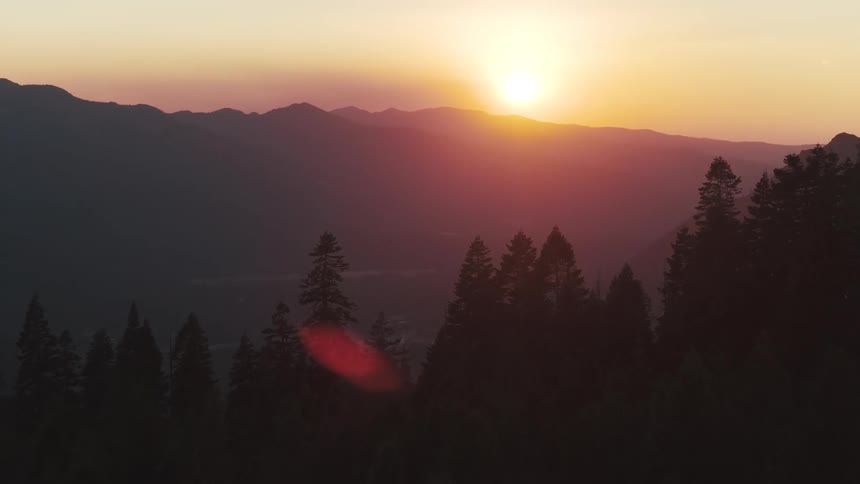 A beautiful sunset casts a warm, golden glow over a vast mountain range and a silhouetted pine forest in the foreground