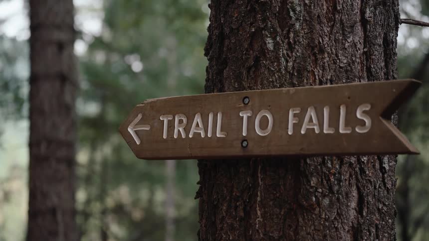 A rustic wooden sign points the way on the 'Trail to Falls' in a serene forest setting