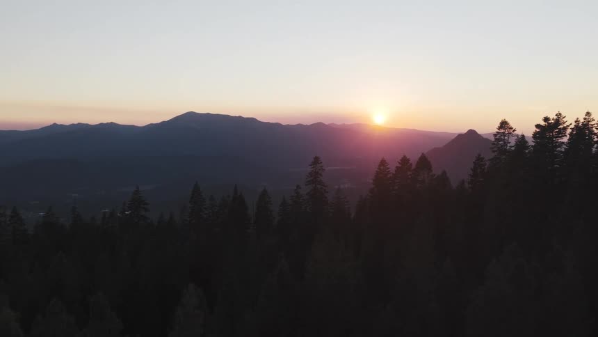 A drone ascends over a pine forest revealing a beautiful mountain valley as the sun sets in the distance