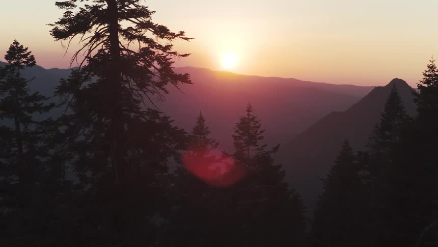 An aerial view pushes in slowly over a silhouetted pine forest towards a majestic mountain range during a hazy, golden sunset
