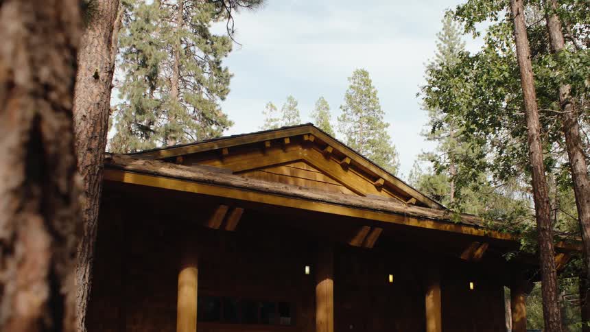 The roof of a rustic wooden cabin sits peacefully amongst tall pine trees in a forest