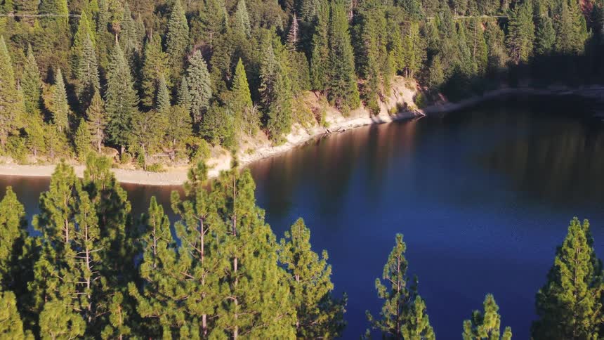 Aerial view flying over a dense green forest revealing a calm blue mountain lake on a sunny day