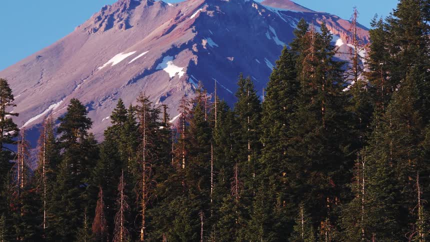 A slow zoom out reveals the majestic snow-capped Mount Shasta towering over a dense evergreen forest at sunrise