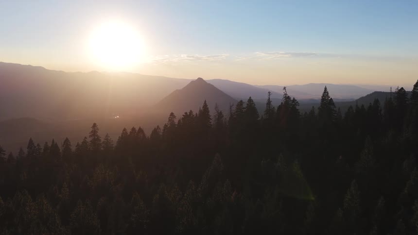 The bright sun sets over a distant mountain range, casting a golden glow and silhouetting a dense pine forest in the foreground