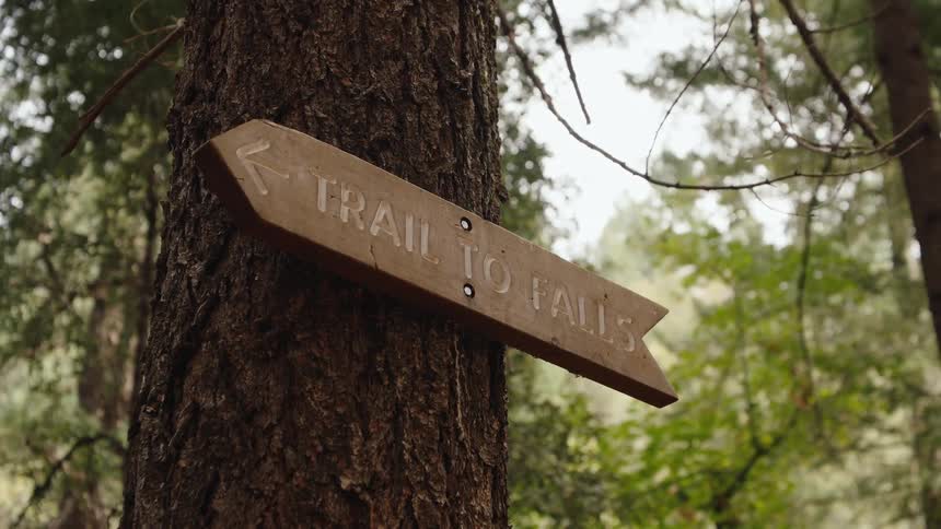 A wooden arrow sign on a tree trunk points the way on the Trail to Falls in a lush green forest