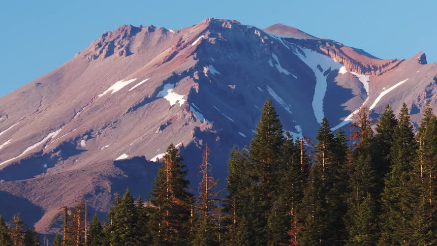 A majestic snow-capped mountain peak towers over a dense evergreen forest under a clear blue sky