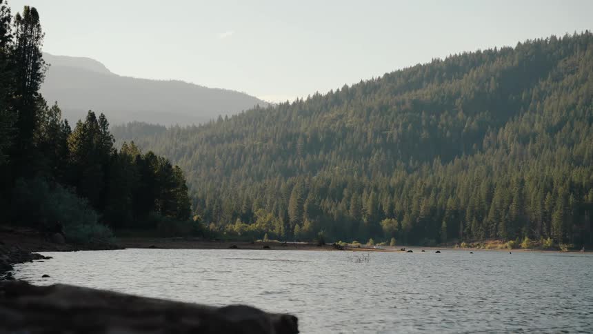 A serene view of a mountain lake surrounded by a dense evergreen forest at dusk