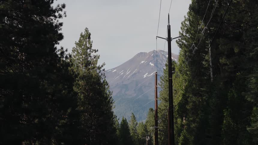 A slow zoom-in on the snow-capped peak of Mount Shasta, framed by a dense pine forest and power lines
