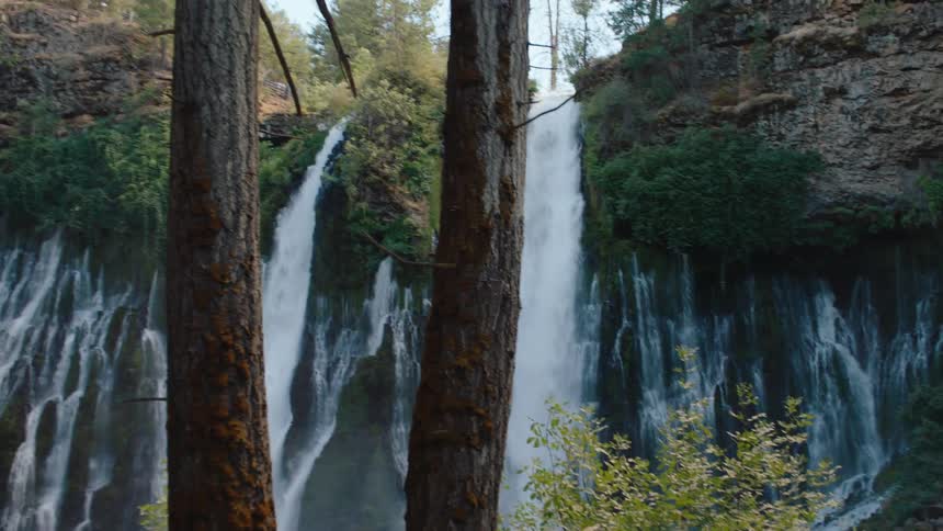 A slow zoom out reveals the majestic Burney Falls cascading down a verdant cliff, framed by towering pine trees in the foreground