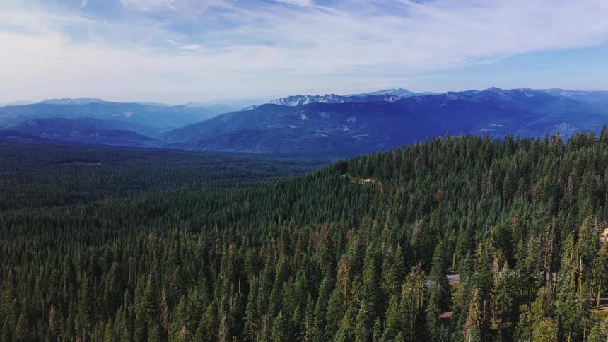 An epic aerial pullback shot over a vast evergreen forest reveals a majestic mountain range in the distance