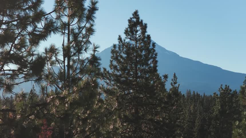 A majestic, snow-capped mountain towers in the distance behind a dense evergreen forest as the camera slowly zooms out