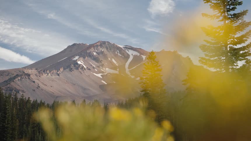 A scenic view of a majestic snow-capped mountain is revealed behind a soft-focus foreground of yellow wildflowers and pine trees