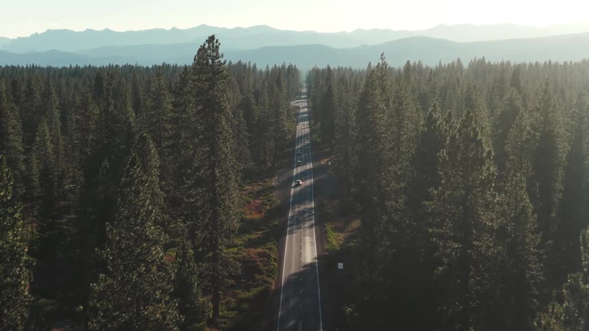 An aerial view shows cars driving down a long, straight road through a vast pine forest towards a distant mountain range at sunrise