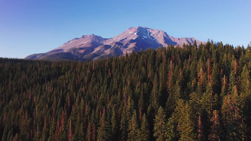A breathtaking static view of a majestic snow-capped mountain rising above a dense green pine forest on a sunny day