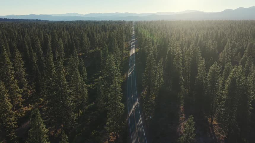 An aerial view of a straight road stretching through a dense evergreen forest towards distant mountains during a golden sunrise