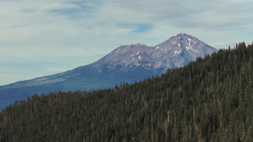 A static wide shot of the majestic snow-capped Mount Shasta rising above a dense evergreen forest