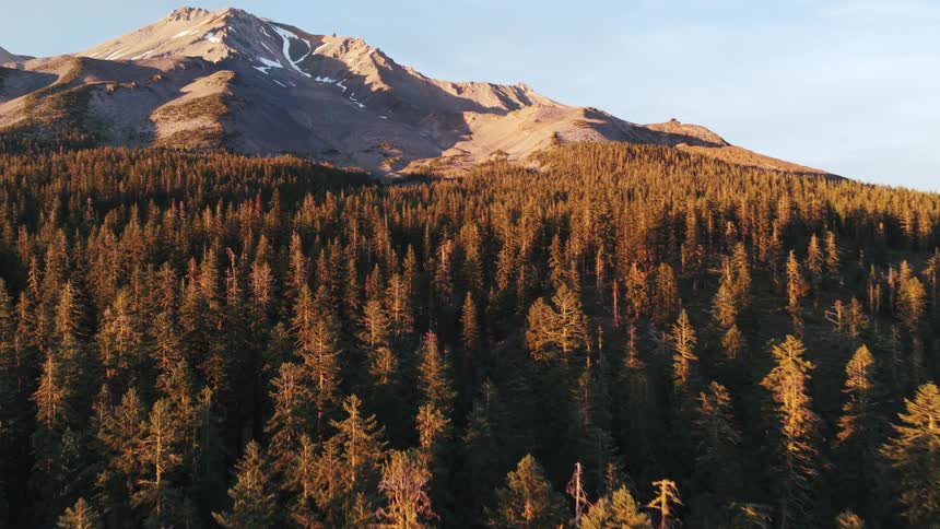 A stunning aerial view reveals a majestic snow-capped mountain rising above a dense evergreen forest during a warm golden sunset