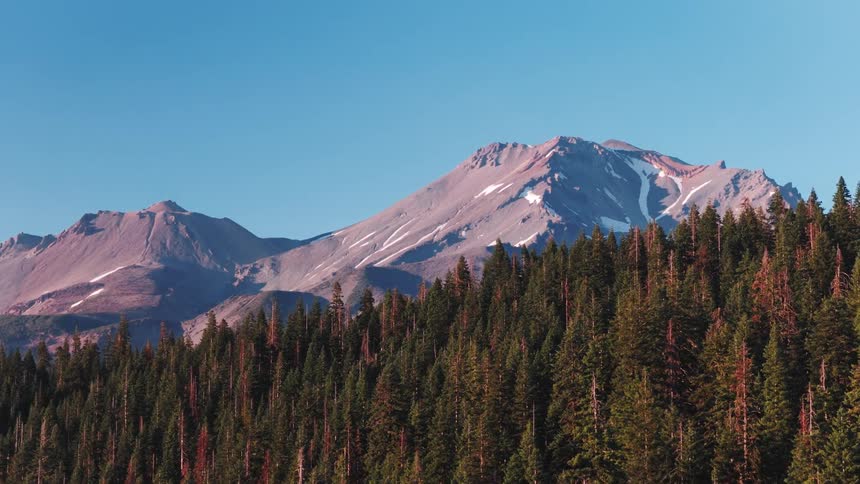 A slow aerial reveal of the majestic, snow-capped Mount Shasta towering above a dense pine forest under a clear blue sky