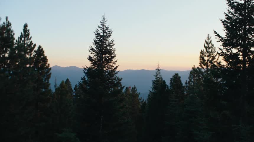 A peaceful static shot of a pine forest slowly zooms in on a distant mountain range at sunset