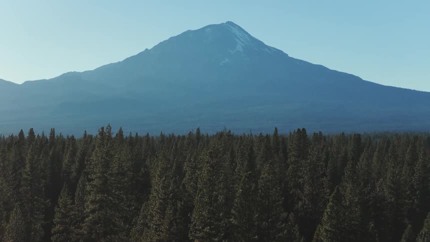 A majestic mountain with a snow-capped peak rises above a vast evergreen forest on a clear day