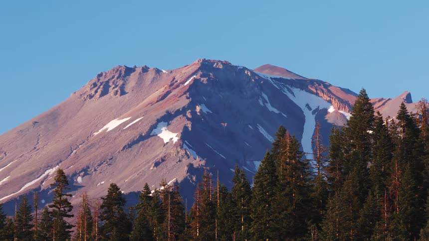 A majestic snow-capped mountain peak glows with warm pink light at sunrise above a dense pine forest