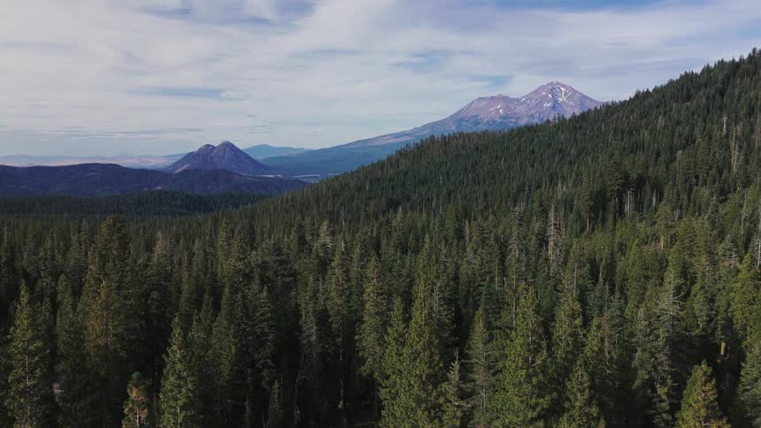 A serene aerial pullback over a lush green forest, revealing the stunning Mount Shasta and surrounding peaks