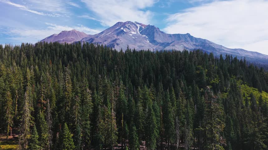 A stunning aerial view pulling back over a dense green pine forest to reveal the majestic snow-capped Mount Shasta