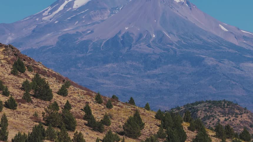 A scenic zoom-out from a juniper-dotted hillside reveals the majestic, snow-capped peaks of Mount Shasta